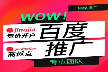 SEM服务托管实战案例：提升品牌知名度