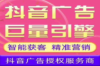 成功SEM服务案例分析报告